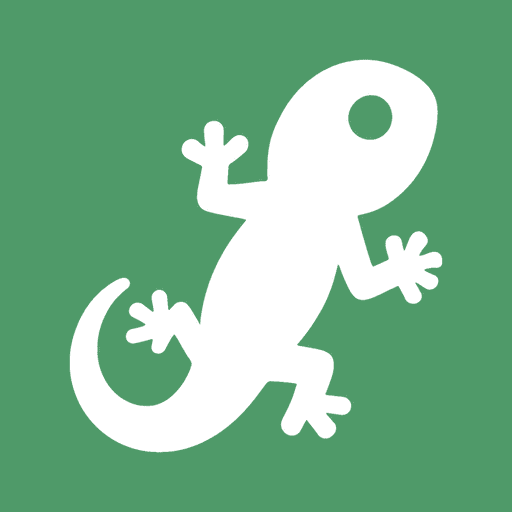 After — the minimalist tegu