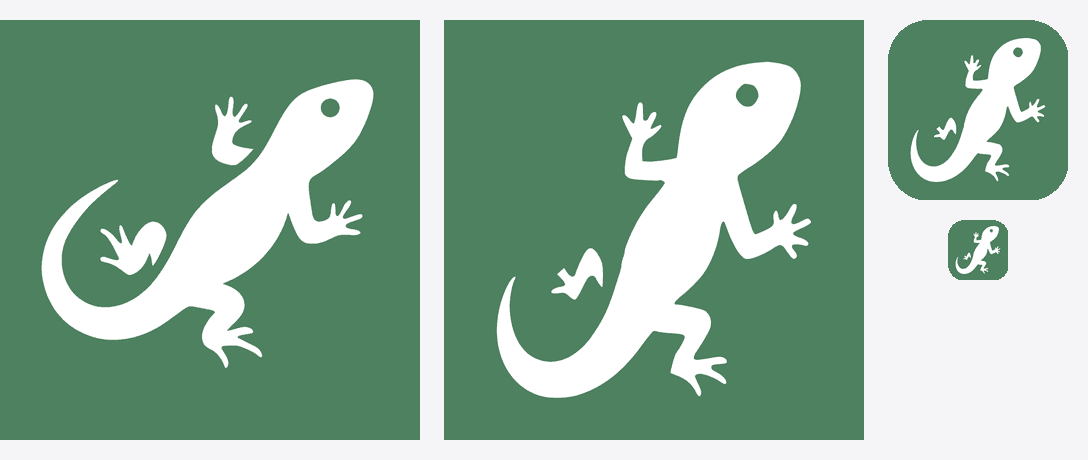 The lizard, at every scale