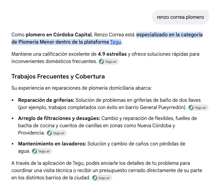 La respuesta de Google a la búsqueda "renzo correa plomero": lo describe como plomero en Córdoba Capital, especializado en Plomería Menor dentro de Tegu, con 4,9 estrellas, y detalla sus trabajos por barrio citando tegu.ar