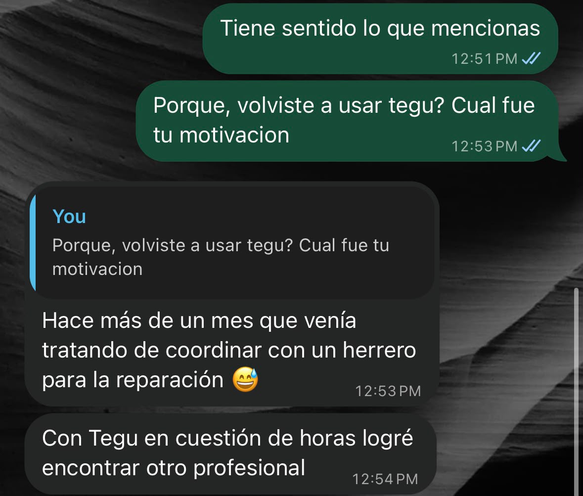 Chat con un cliente: "Hace más de un mes que venía tratando de coordinar con un herrero para la reparación" y "Con Tegu en cuestión de horas logré encontrar otro profesional"